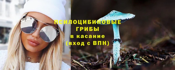 гидропоника Няндома