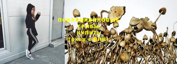 скорость Нягань