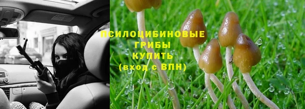 марки lsd Нязепетровск